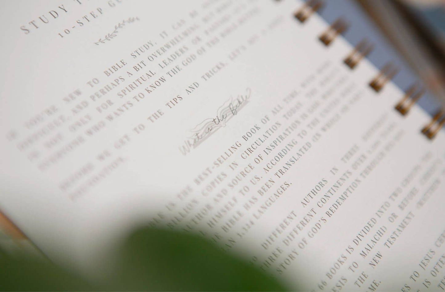 Bible Journal for Verse by Verse Bible Study