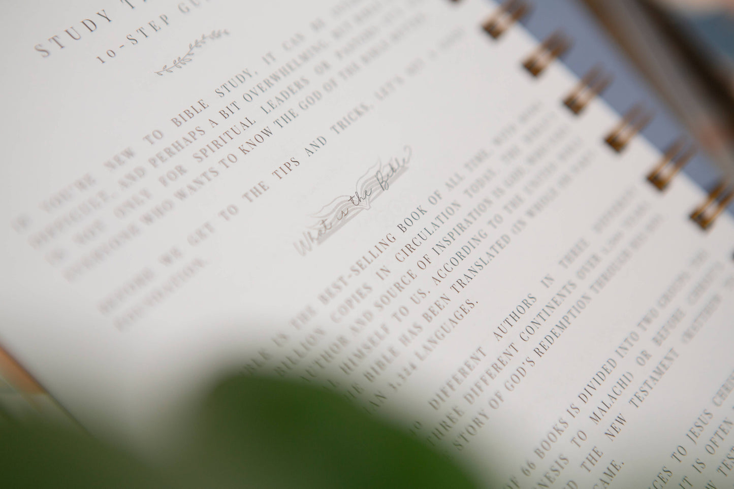 Bible Study Journal | Verse Mapping Journal